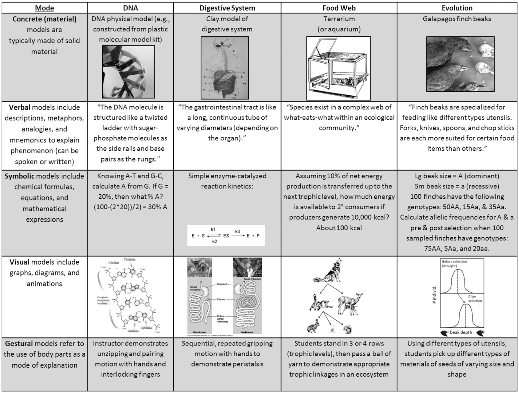 Exploring Models In The Biology Classroom