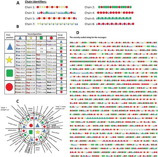 Using Shapes Codes To Teach The Central Dogma Of Molecular