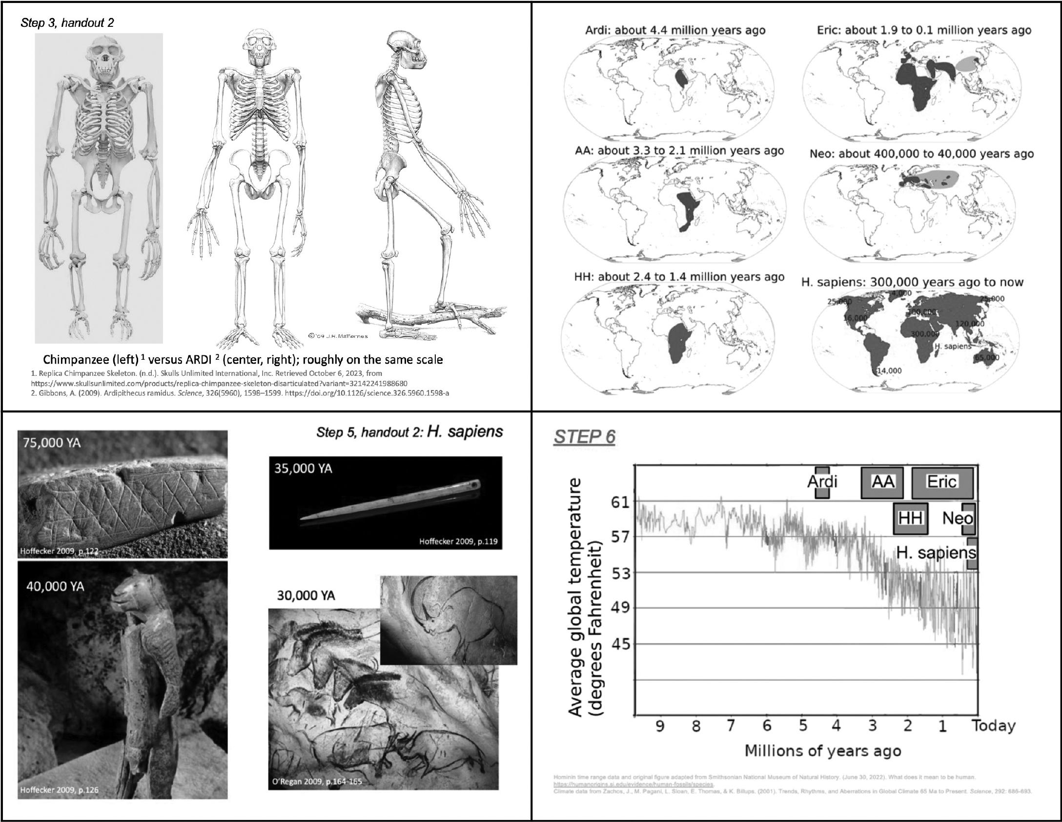 Investigating “Humanity”: Reconstructing Human Evolution Using