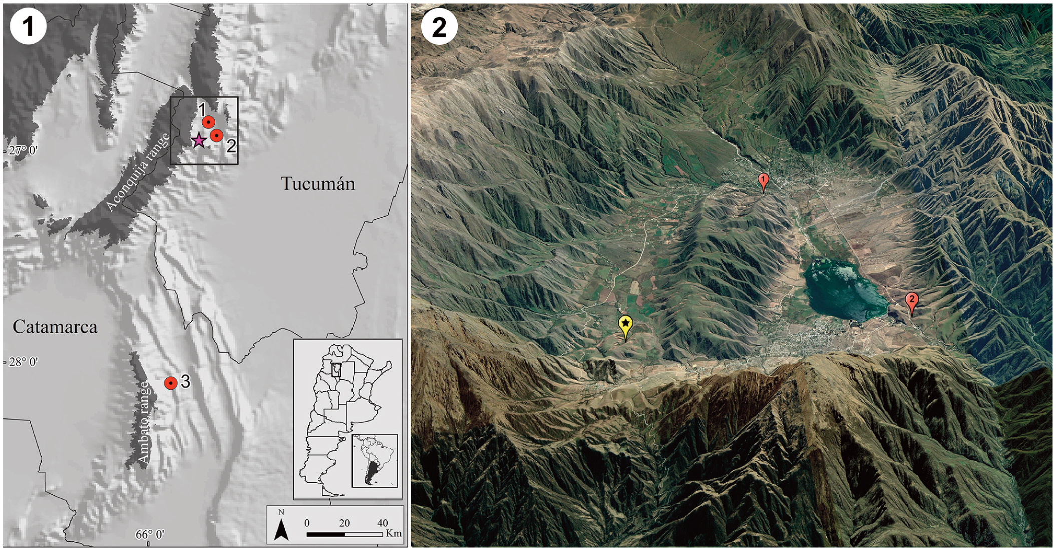 A westerly wind dominated Puna Plateau during deposition of upper  Pleistocene loessic sediments in the subtropical Andes, South America