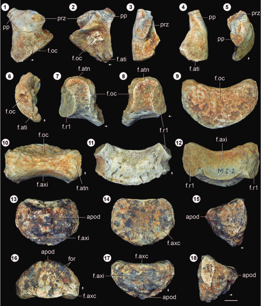 https://bioone.org/ContentImages/Journals/ameg/58/2/AMGH.18.01.2021.3416/graphic/WebImages/img-z11-1_132.jpg