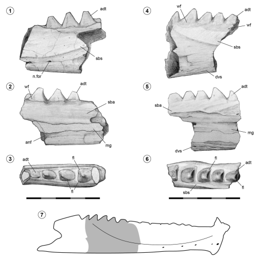 https://bioone.org/ContentImages/Journals/ameg/58/5/AMGH.13.07.2021.3442/graphic/WebImages/img-z11-3_416.jpg