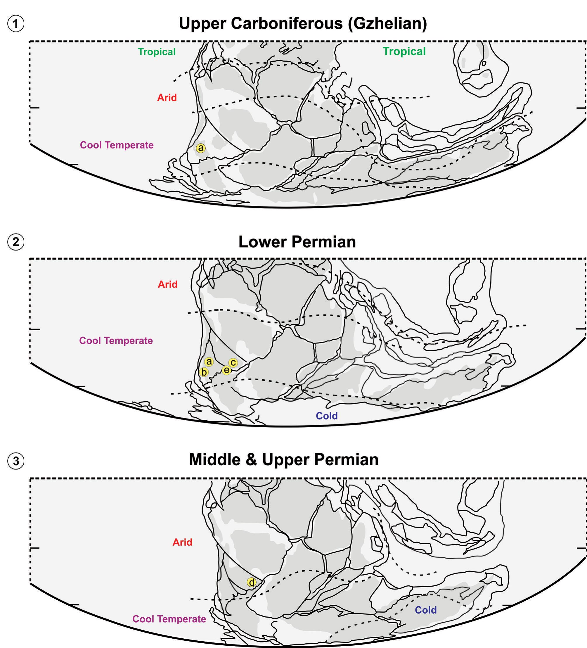 Late Paleozoic–Early Mesozoic Insects: State of the Art on  Paleoentomological Studies in Southern South America