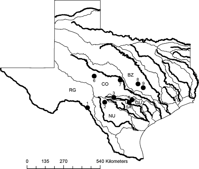 Elimia Comalensis (Gastropoda: Pleuroceridae) from the Edwards Plateau ...