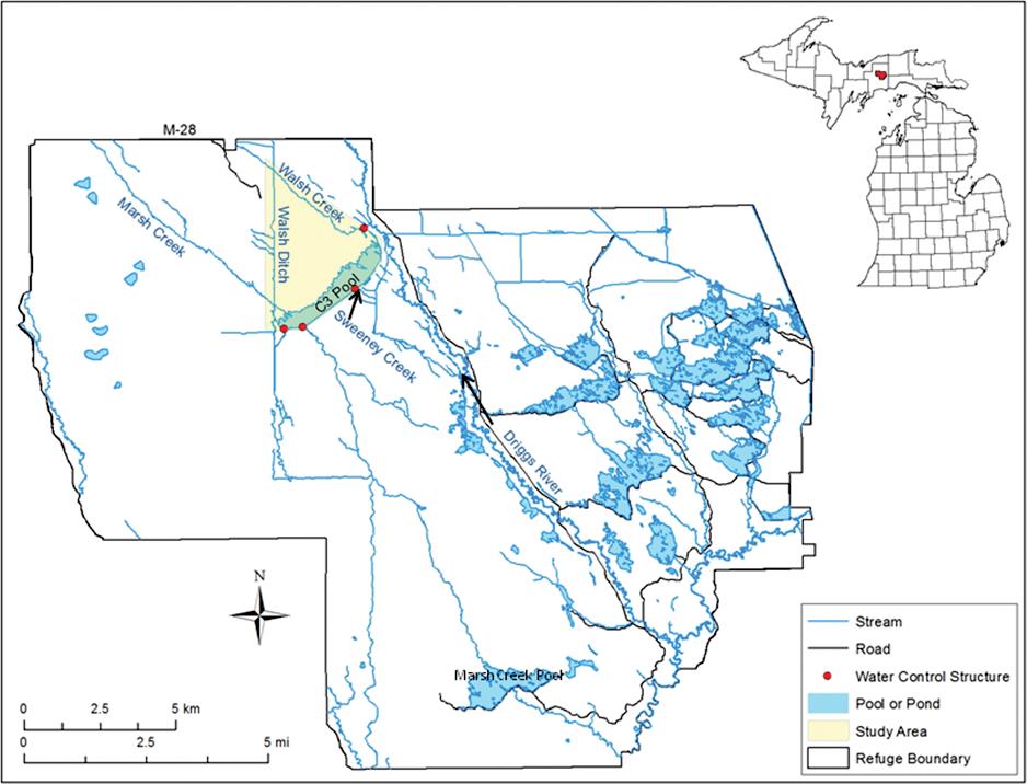 A Case Study in Large-scale Wetland Restoration at Seney National ...