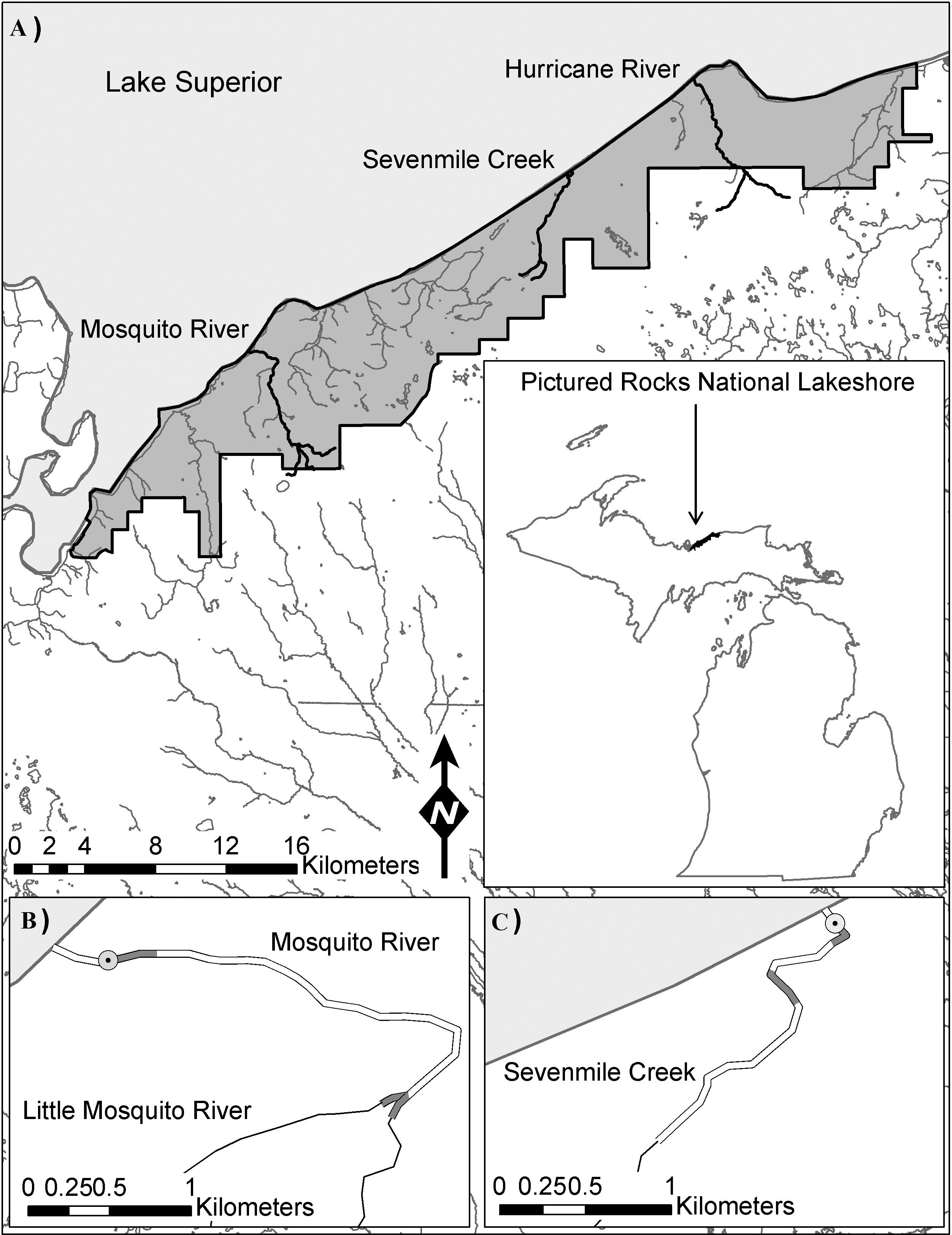 Migration, Size, and Age Structure of Brook Trout (Salvelinus ...