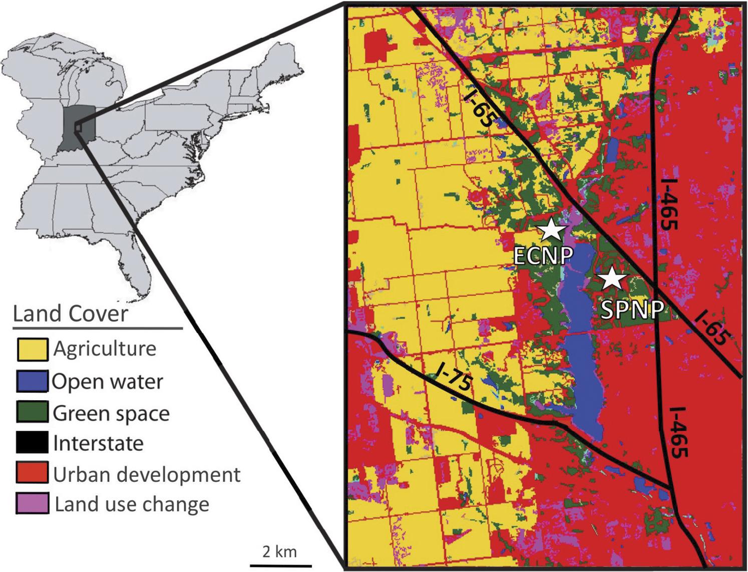 changes-in-plant-species-composition-and-structure-in-two-peri-urban