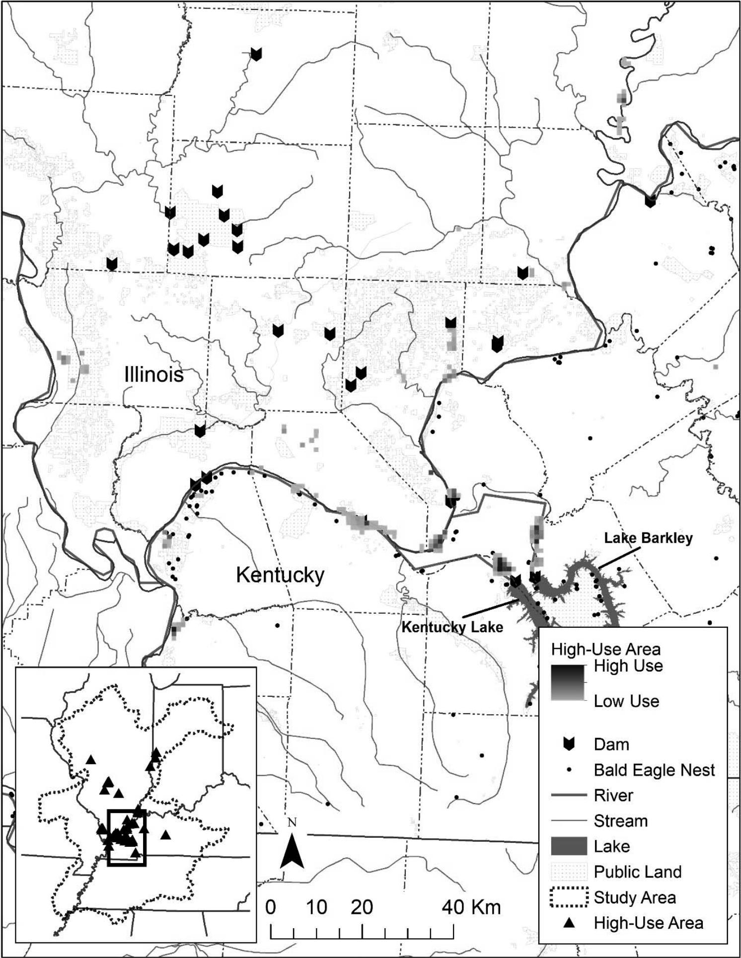 Tracking bald eagle movements throughout the Chesapeake and beyond