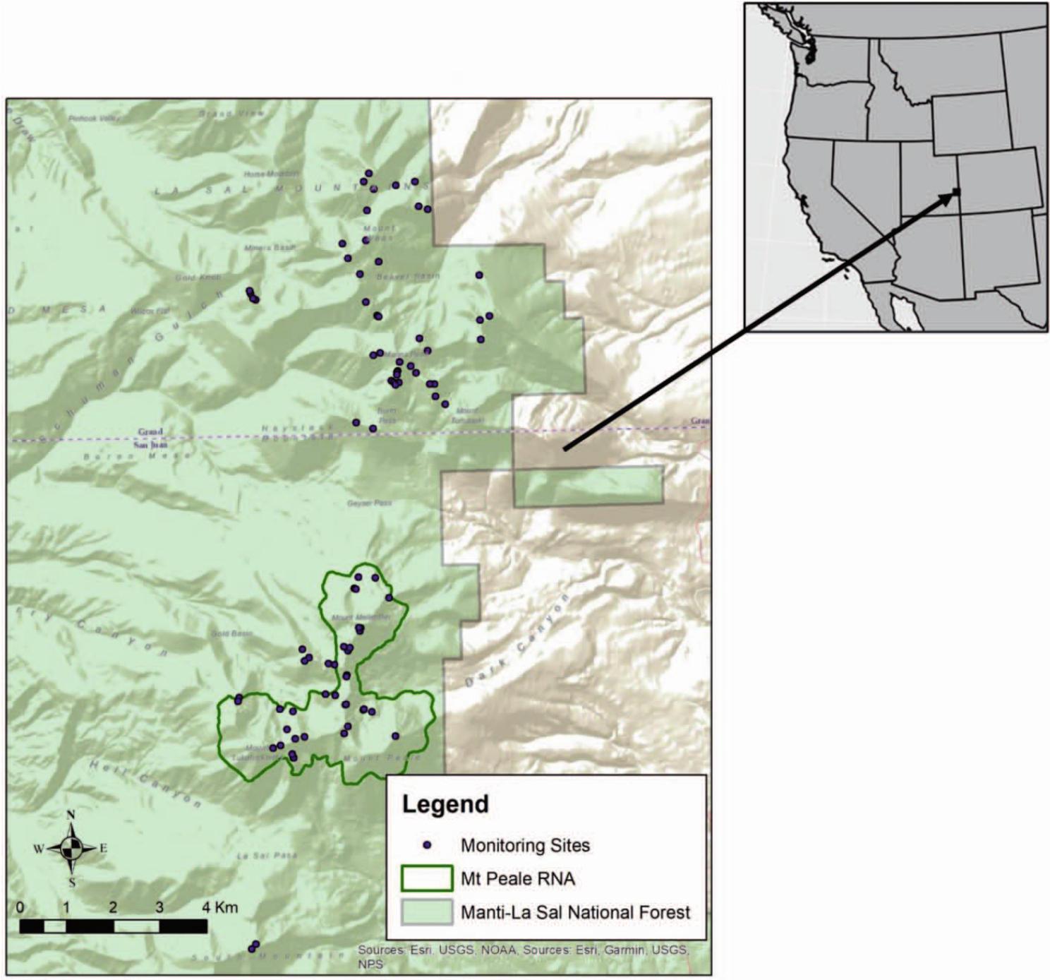 New Report: Treeline Monitoring in the San Juan Basin Tundra