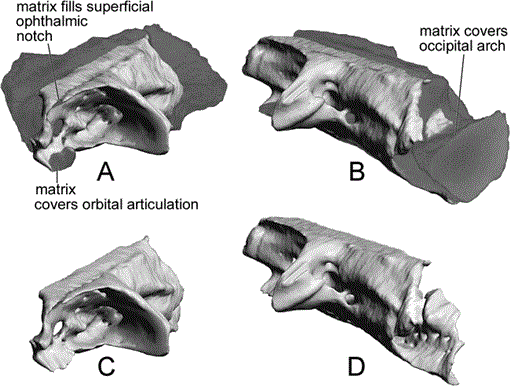 i0003-0090-288-1-1-f03.gif