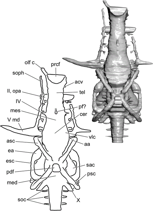 i0003-0090-288-1-1-f24.gif