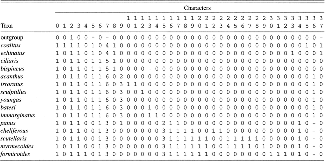 München hansa 9 3. Spieltag: