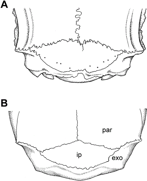 i0003-0090-296-1-1-f16.gif