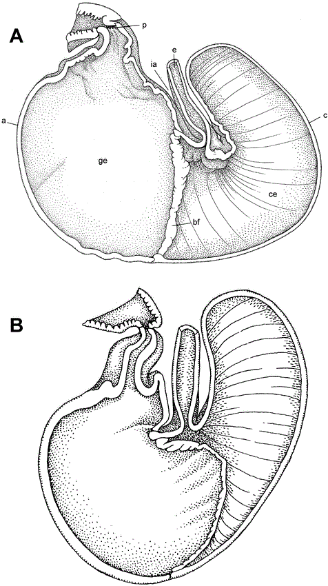 i0003-0090-296-1-1-f33.gif