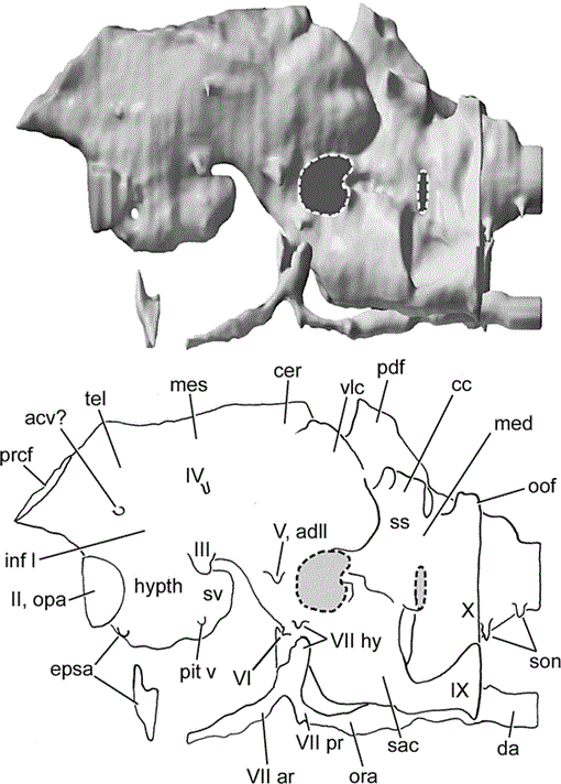 i0003-0090-307-1-1-f25.gif