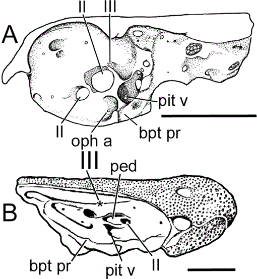 i0003-0090-307-1-1-f62.gif