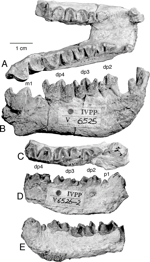 i0003-0090-311-1-1-f93.gif