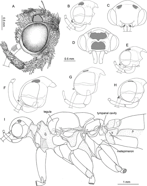 i0003-0090-321-1-1-f187.gif