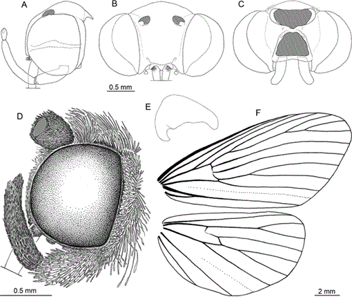 i0003-0090-321-1-1-f255.gif