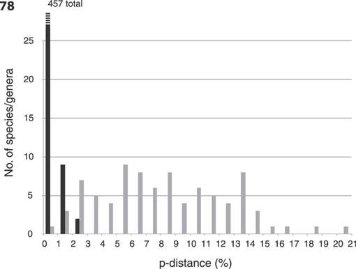 A DNA Sequenceu2013Based Approach To the Identification of Shark and 