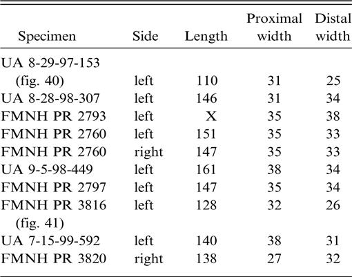 Postcranial Osteology Of Azendohsaurus Madagaskarensis Middle To Upper Triassic Isalo Group Madagascar And Its Systematic Position Among Stem Archosaur Reptiles