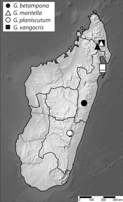 Taxonomic Monograph Of The Endemic Millipede Assassin Bug Fauna Of ...