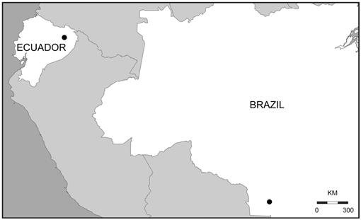 Taxonomic Revision Of The Jumping Goblin Spiders Of The Genus Orchestina Simon 18 In The Americas Araneae Oonopidae