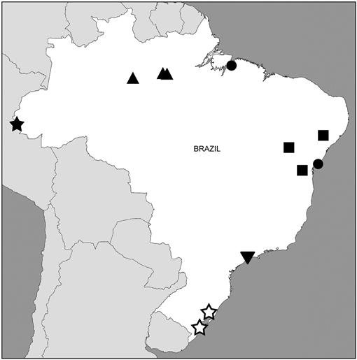 Taxonomic Revision Of The Jumping Goblin Spiders Of The Genus Orchestina Simon 18 In The Americas Araneae Oonopidae