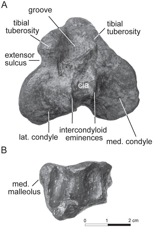 f27_01.jpg