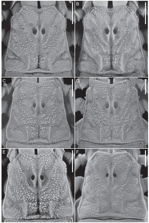 Download this publication as PDF - CEAD - Unimontes