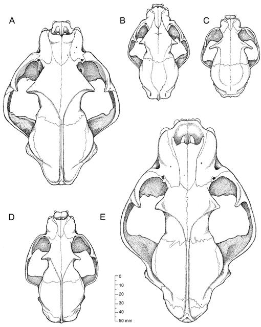 f14_01.jpg