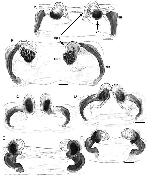 f07_01.jpg