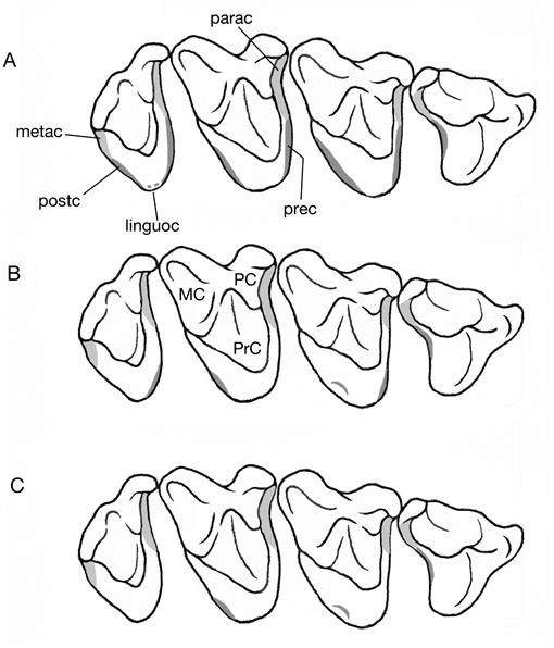 f07_01.jpg