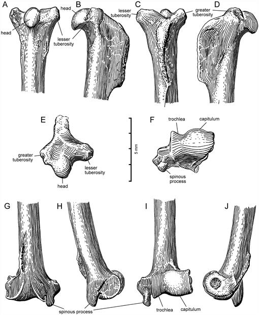 f10_01.jpg