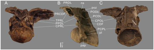 f20_01.jpg