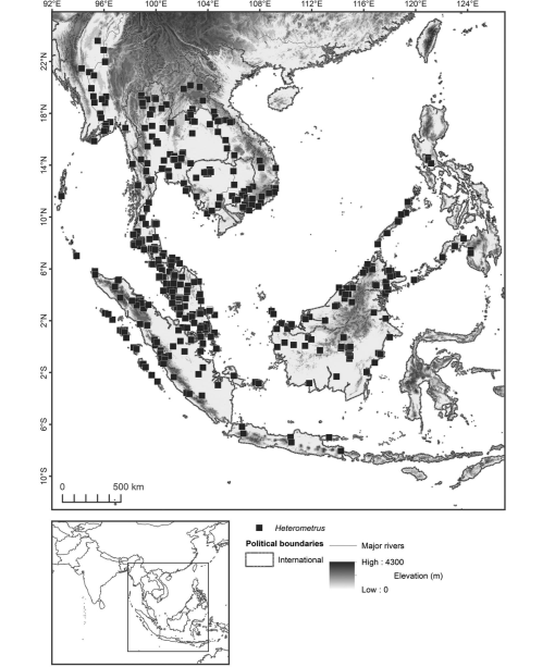 Systematic Revision of the Asian Forest Scorpions (Heterometrinae 