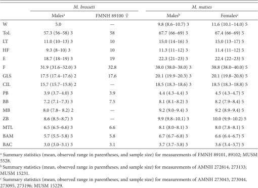 Mammalian Diversity and Matses Ethnomammalogy in ian Peru Part 4: Bats