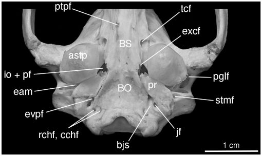 f25b_01.jpg