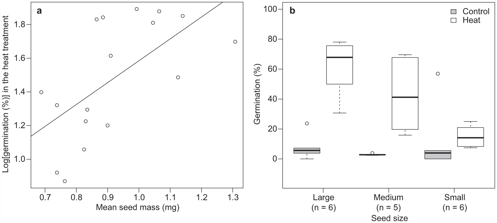 Seed Size Explains Within Population Variability In Post Fire Germination Of Cistus Salviifolius