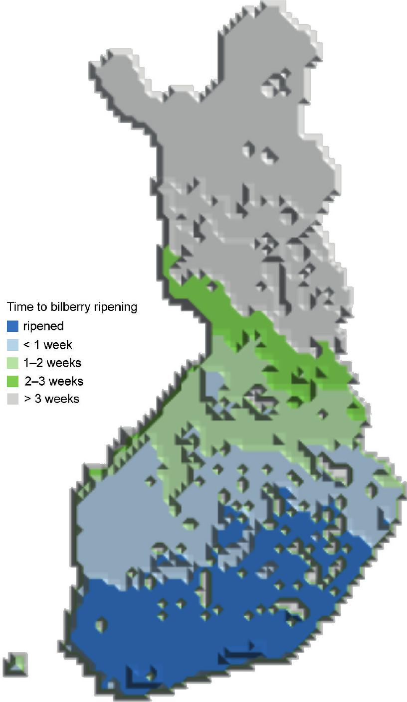 An Interactive Web Application for Predicting Ripening of Bilberry  (Vaccinium myrtillus) in Finland