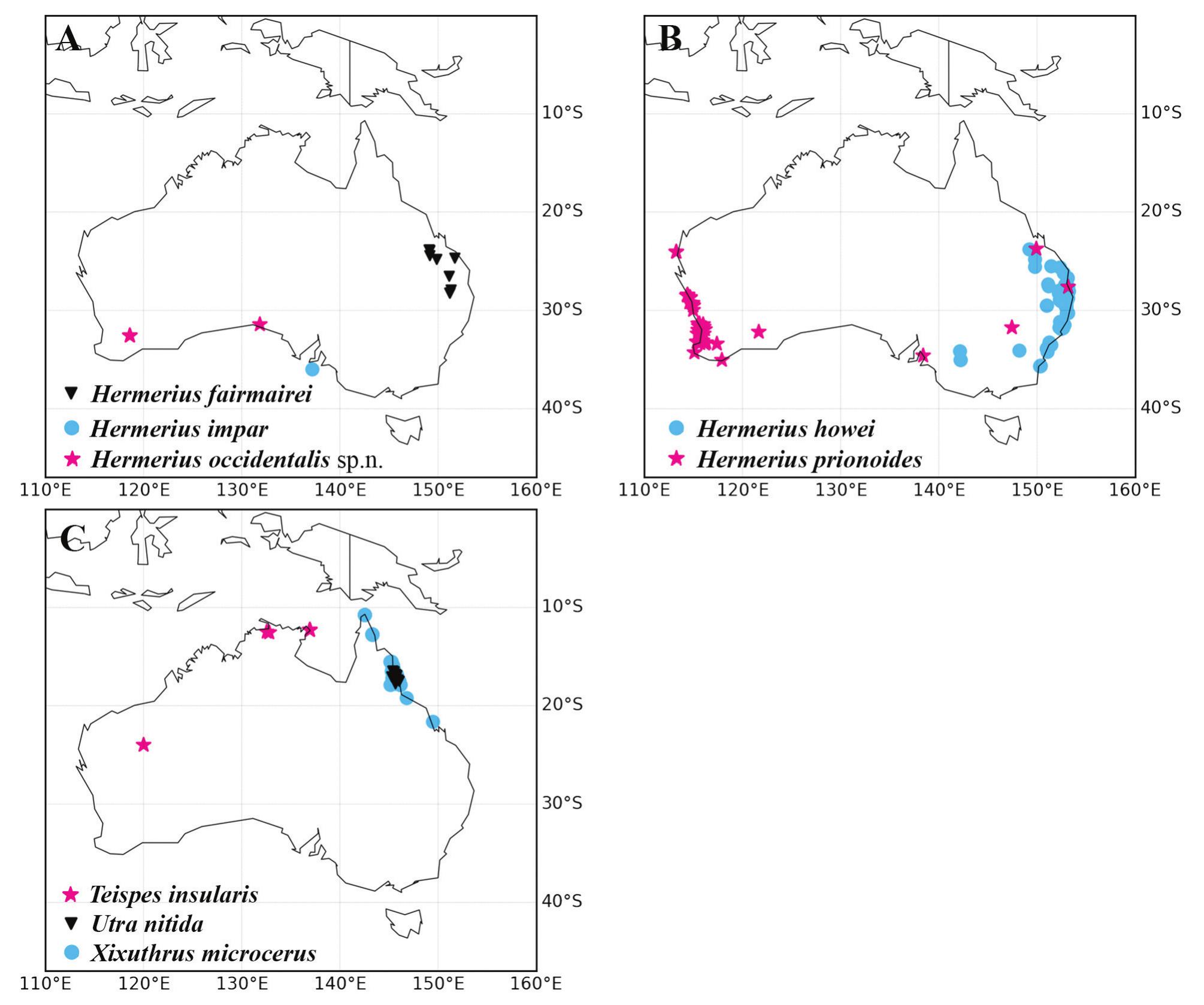 A Review Of The Australian Macrotomini Coleoptera Cerambycidae Prioninae