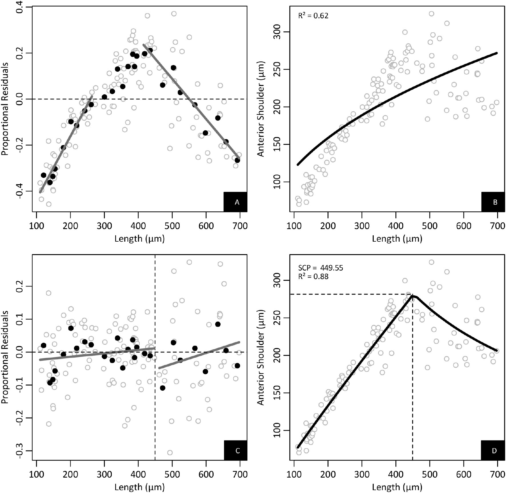 Morphological Assessment Of Rheodreissena Bivalvia Veneroida