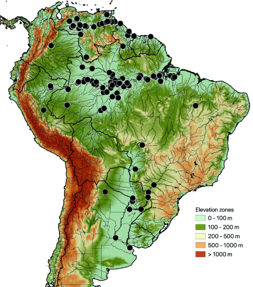 Ayacucho x São Paulo se livra altitude