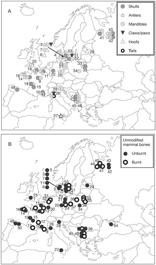 Animals In Mesolithic Burials In Europe - 