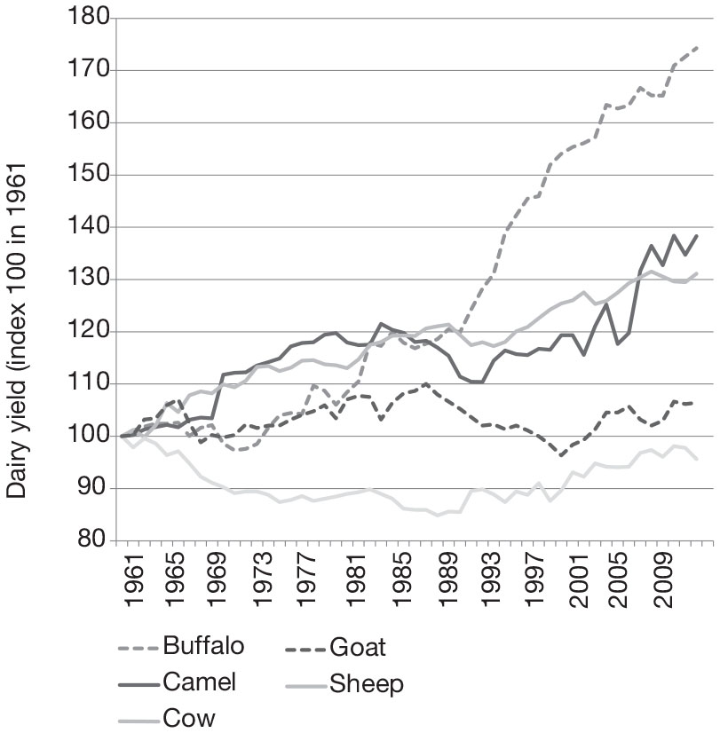 The Camel Today Assets And Potentials