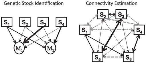 Answered: Let S = {S₁, S₂, S3, S4, S5} be a…