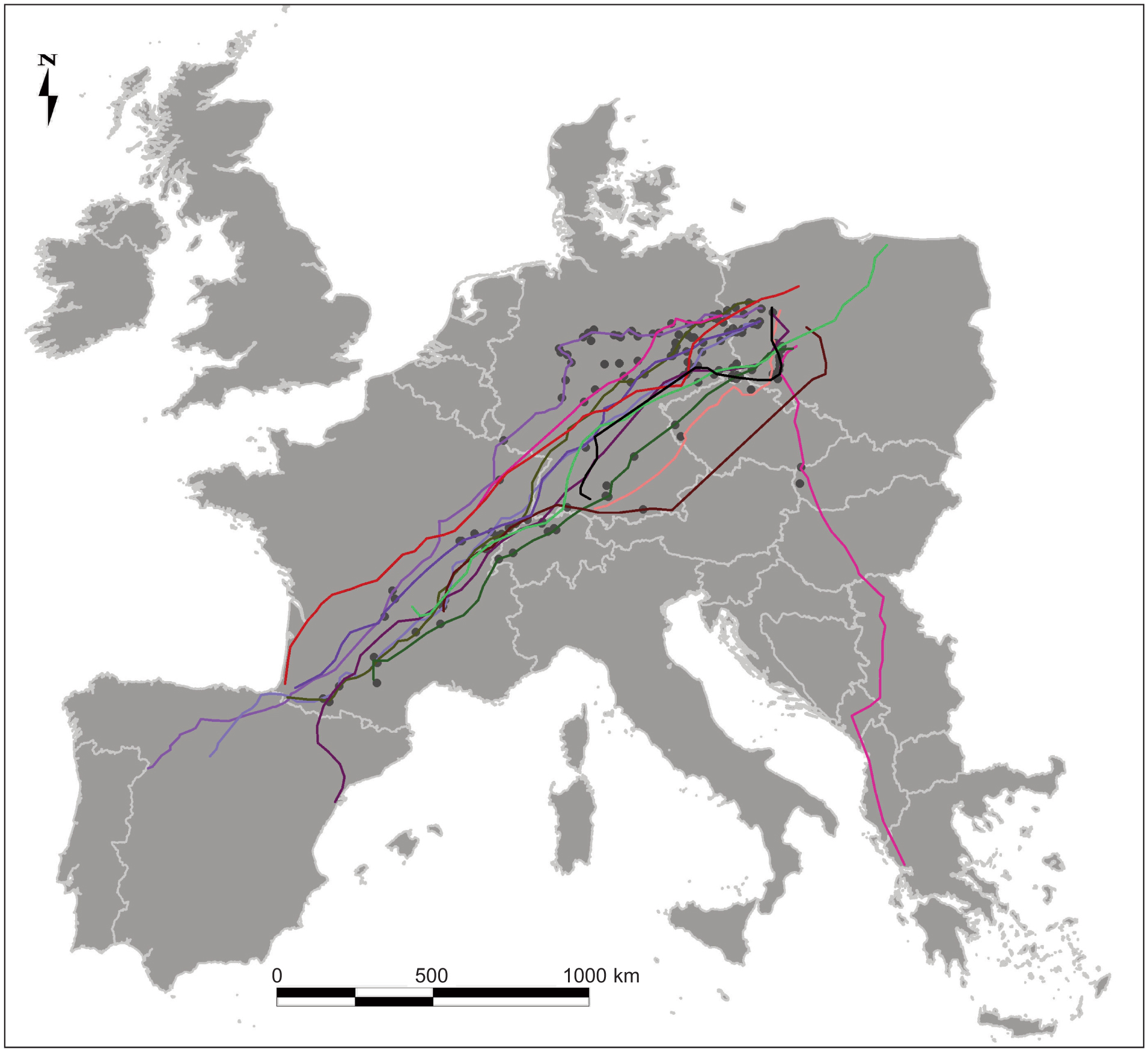 Autumn migration routes of four adult hobbies recorded by satellite
