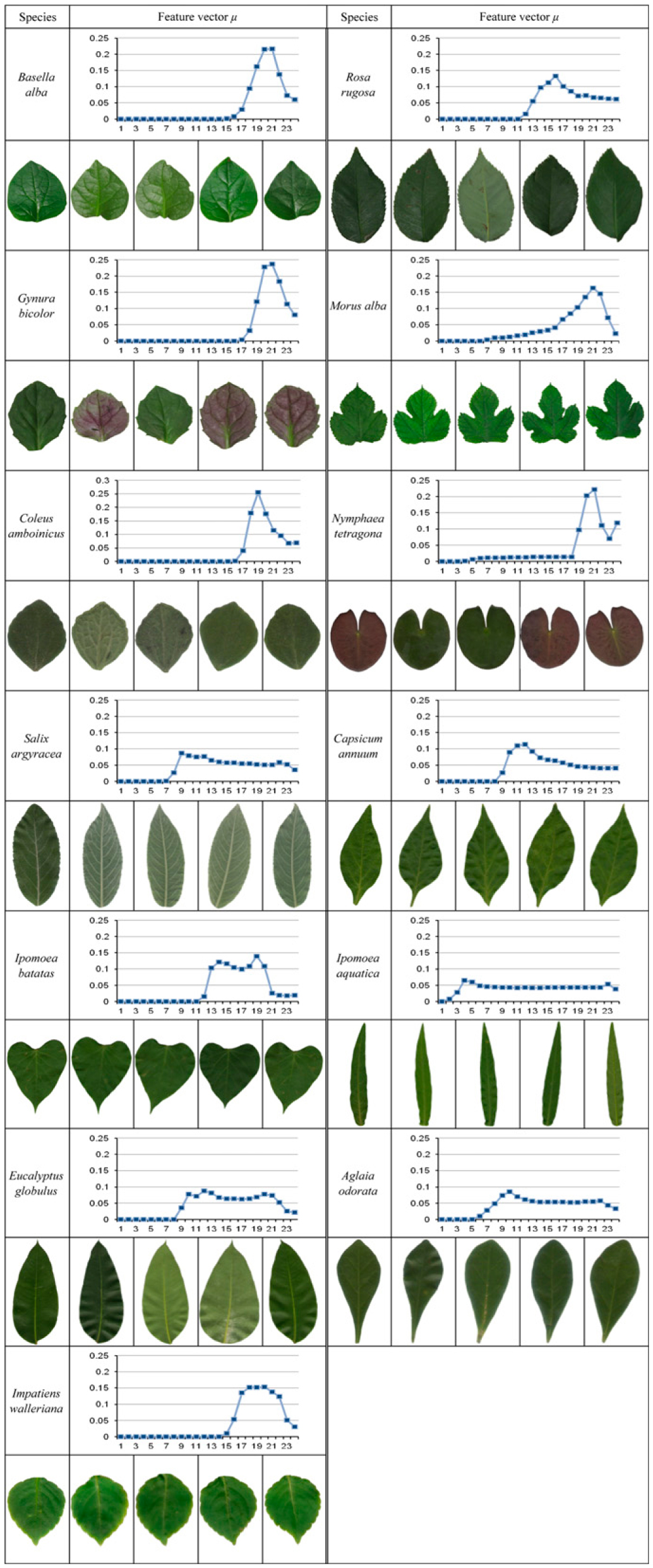 identification of leaves by shape