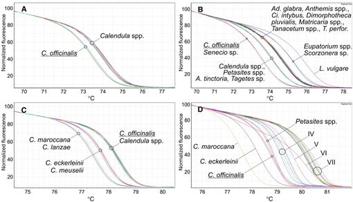 DNA-Based Identification of Calendula officinalis (Asteraceae)