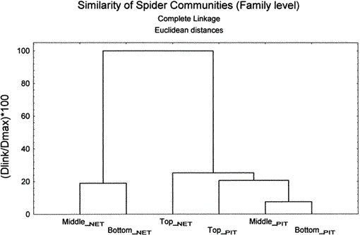 GW Researcher Explains How Seven Spiders Spin Webs of Entrapment